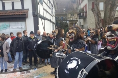 5-Allschwiler-Fasnacht-2017