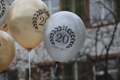 2-Basler-Fasnacht-2017