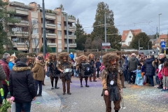 9-Reinacher-Fasnacht-2019